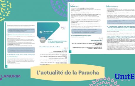 L’actualité de la Paracha (Béréchit période 1 & Hanoucca) Lamorim&UnitEd
