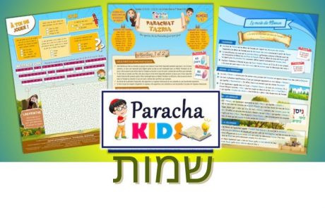 Paracha Kids שמות