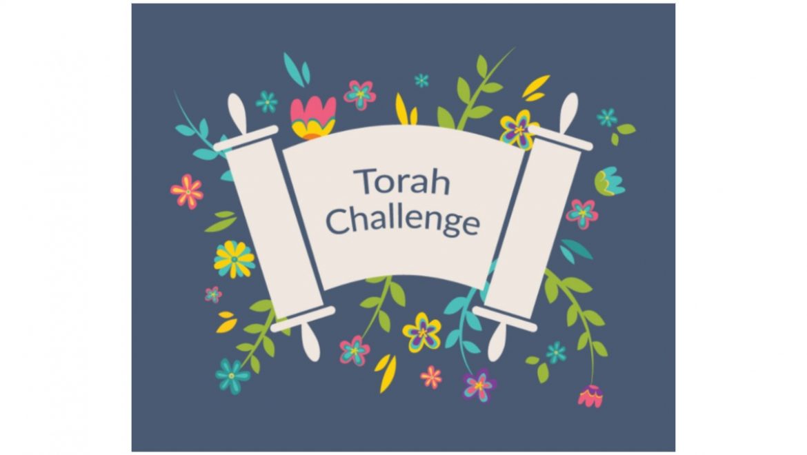 Torah Challenge